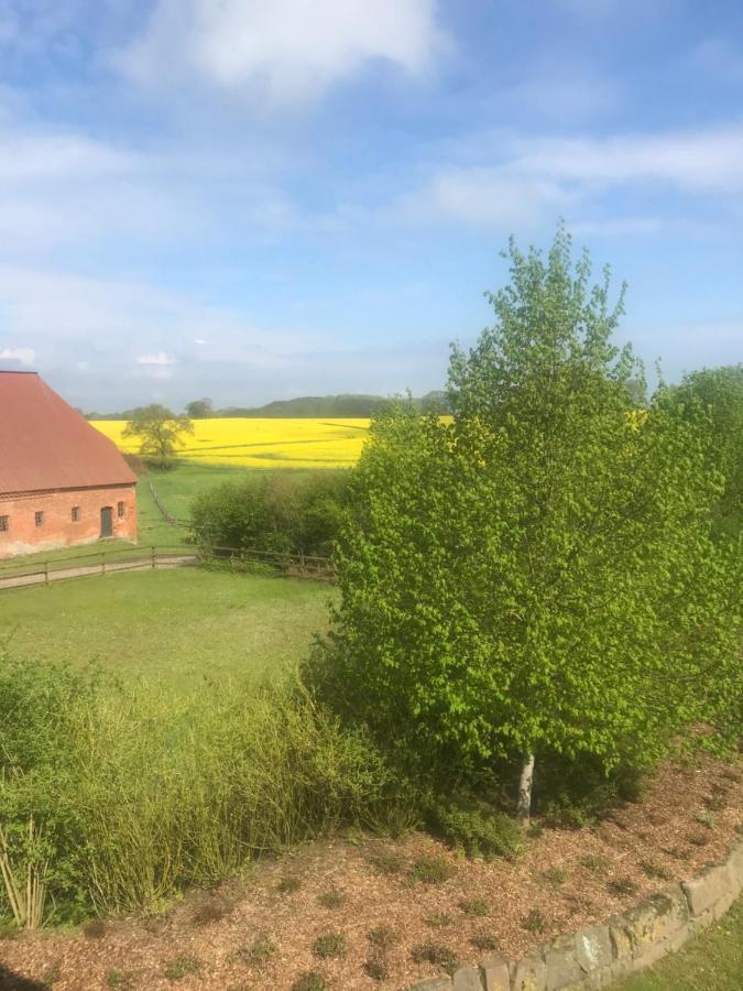 Schmuckstueck In Ostseenaehe Surendorf Zewnętrze zdjęcie